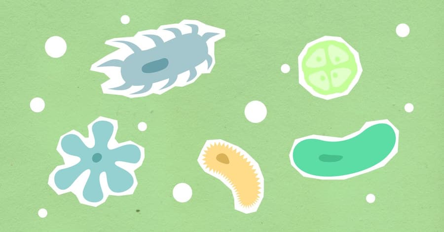 El microbioma humano: qué es, para qué sirve y por qué la ciencia lo estudia con tanta atención