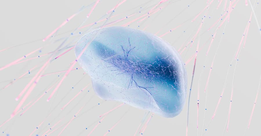 Neuroplasticidad: cómo el cerebro cambia con el aprendizaje y la experiencia